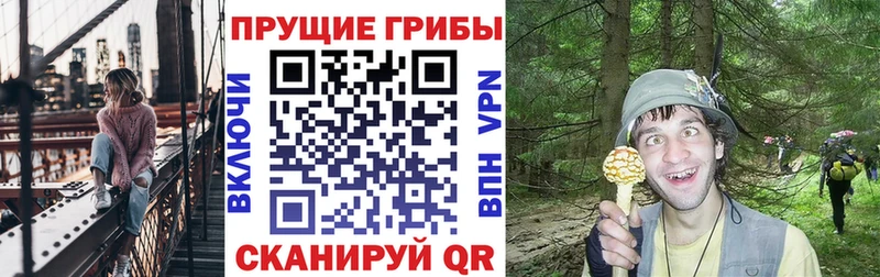 Галлюциногенные грибы прущие грибы  Моршанск 