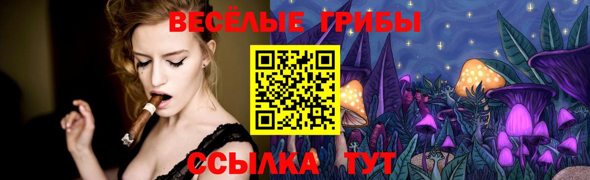 Псилоцибиновые грибы мицелий  Псилоцибиновые грибы прущие грибы  Вход с VPN  Моршанск 