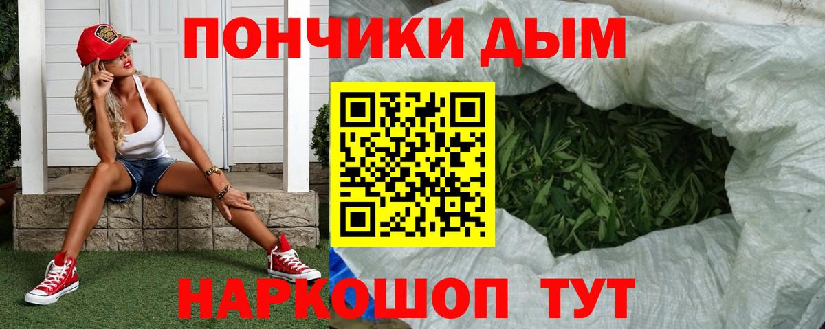 Конопля ГИДРОПОН  Моршанск  Каннабис конопля  Конопля Bruce Banner  Конопля White Widow 